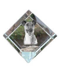 Fox Terrier Lisci, Jack Russel - Cubi Cristallo Con Immagine, Quadro Cavallo IN