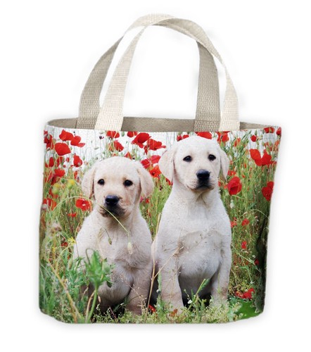Oro labrador cuccioli - d'oro, borsa