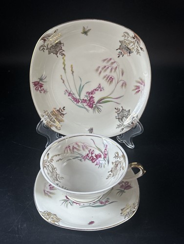 Vecchia tazza collezione - vecchia, in