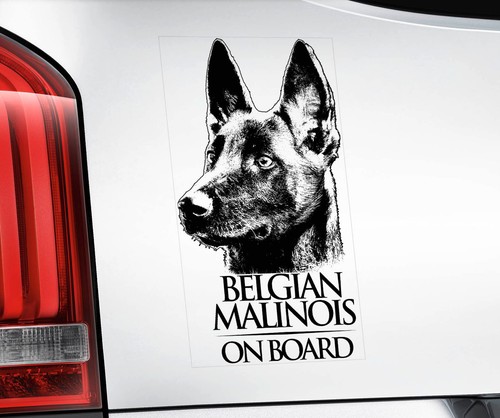 Belgian malinois car - malinois, sticker