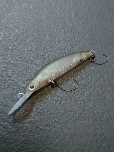 Esca pesca presso - esca,