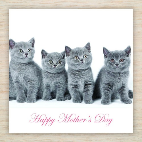 Tuta happy mothers - tuta,