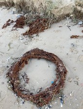 Originale WW2-TEDESCO D-DAY FILO SPINATO BOBINA RELIQUIA di Fox Green: Omaha Beach