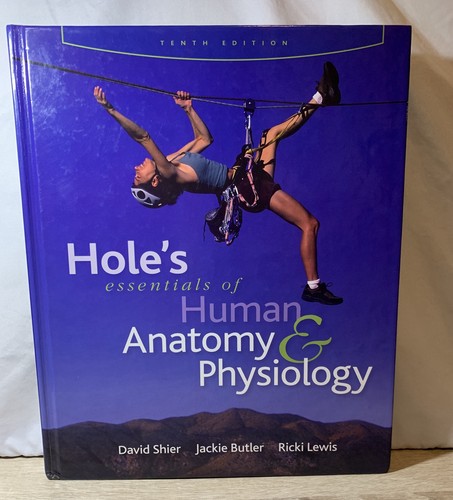 Essentials human anatomy - of,