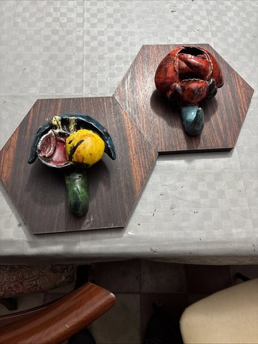 Coppia appendi abiti - appendi,
