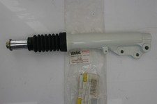 Stelo sx forcella Fork leg