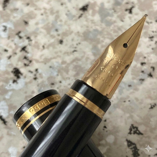 Penna stilografica pilot elabo - penna,