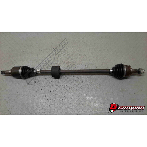 51947021 semialbero ant - ant, dx