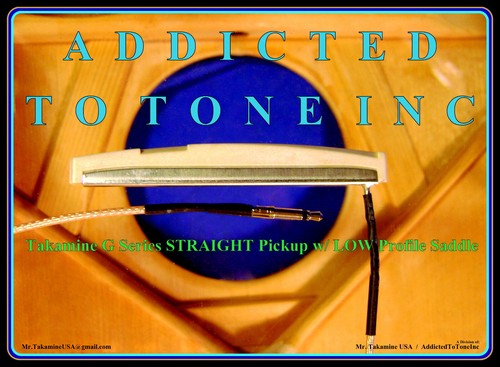 Gruppo pickup ponte takamine - pickup,
