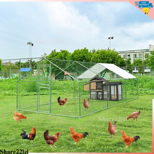 Gabbia per pollame - , 19,8x9,8x