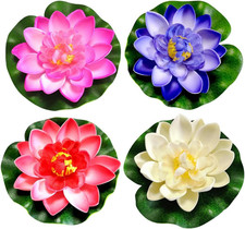4 Fiori Galleggianti, Ninfee