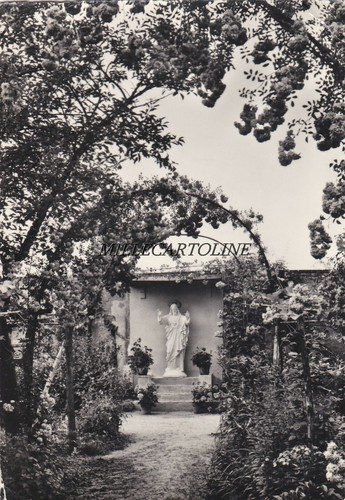 Vische canavese betania del - vische,