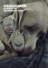 Calendario Weimaraner A3 2026