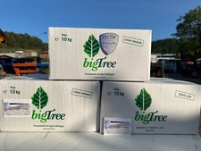 BIG TREE TRONCHETTI DI LEGNO