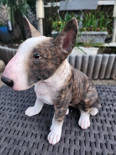 Bull terrier brindle realistic - bull,