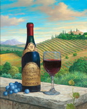 NEW Tommasi AMARONE Italy