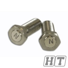 Viti magnetiche (2x) M6x1.00