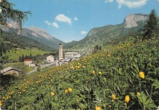 Cartolina Forni di Sopra panorama e fiori anni '80