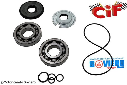 Kit revisione rolf albero - revisione,