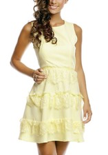 Women's dress flared skater