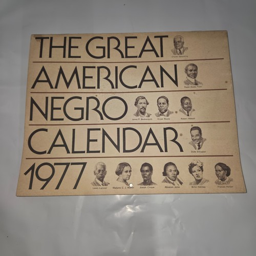 The great american negro - the,