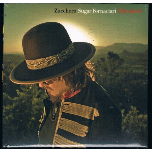Zucchero fornaciari - zucchero,