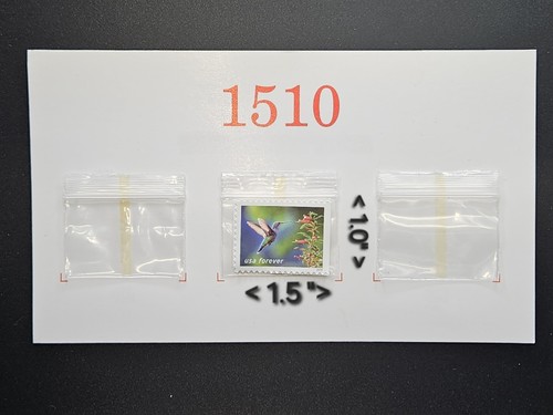 1000 sacchetti - (pcs),