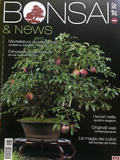 Bonsai & News 2020 182 novembre-dicembre