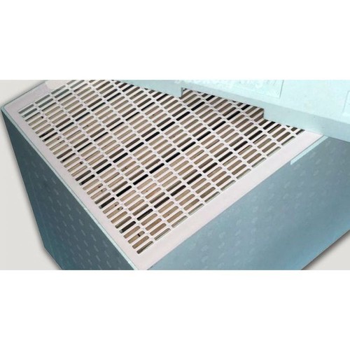 Escludiregina plastica 6 - in,