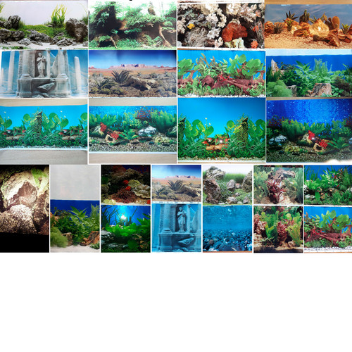 Pellicola per acquario - , su