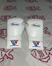 guantoni da boxe