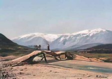 Pasquale Celommi foto A4