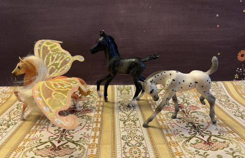 Lotto breyer american quarter - lotto,
