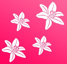 Adesivi Auto Fiori Di Ibisco