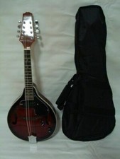 Mandolino elettrico acustico - mandolino,