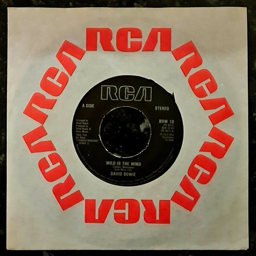 David bowie wild - bowie, is
