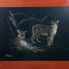 Mel Dobson "MOUNTAIN MAJESTY"