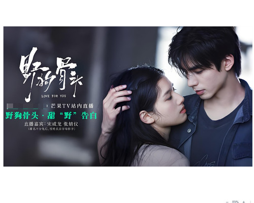 Canzone weilong for the - canzone,