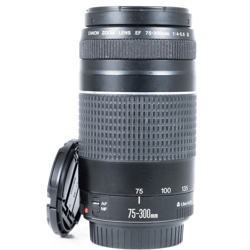 Canon 300 0 5 6 - f/4.0-5.6, iii