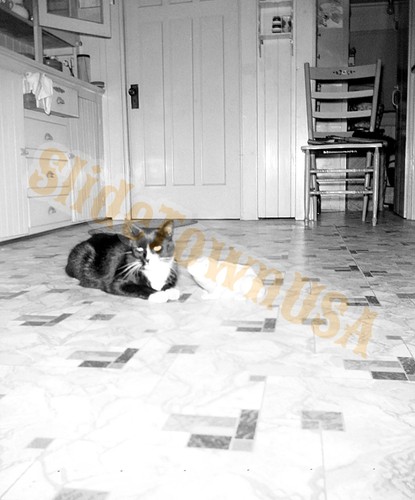 Sedia terra cucina vintage - sedia,