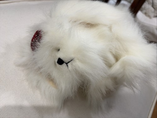 Peluche shih tzu bianco - tzu,