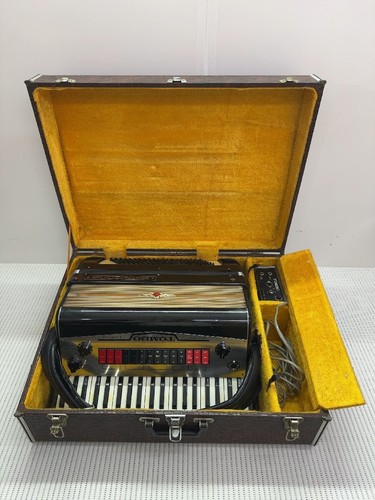 Fisarmonica elettronica tombo - fisarmonica,