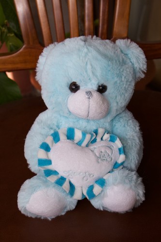 Orsacchiotto peluche blu con