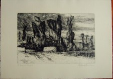 LINO BIANCHI BARRIVIERA acquaforte del 1976  'SENZA TITOLO' (39)