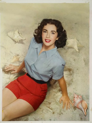 Quadro elizabeth taylor sexy - quadro,