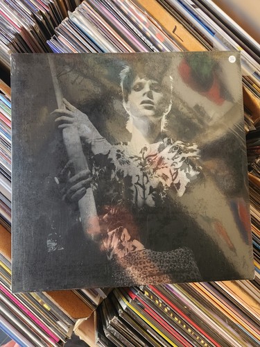 David bowie rock roll - david, rock'n'roll