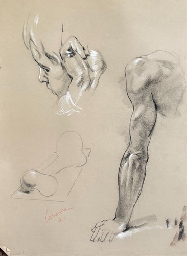 Disegno studio anatomia harry - studio,