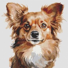 Chihuahua Cucciolo Cane Opera