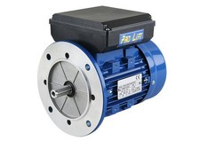 Motore elettrico 1100W 230Volt
