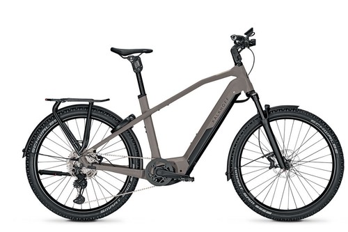 Bici elettrica trekking